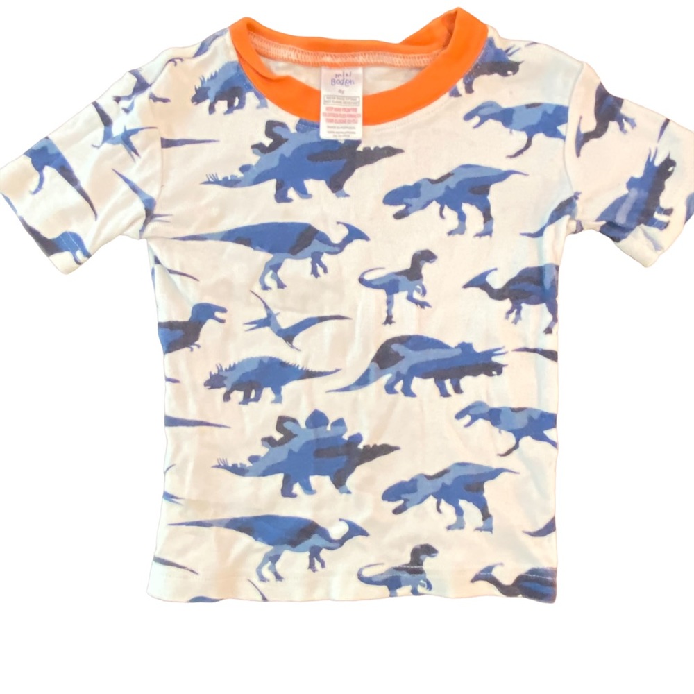 Mini Baden Dinosaur T-shirt